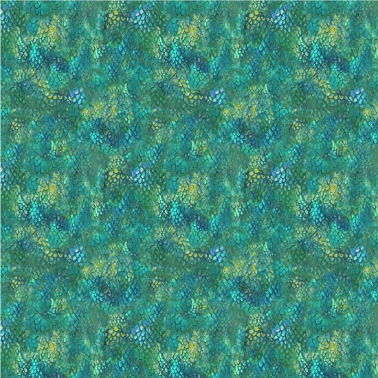 Dragons Kingdom